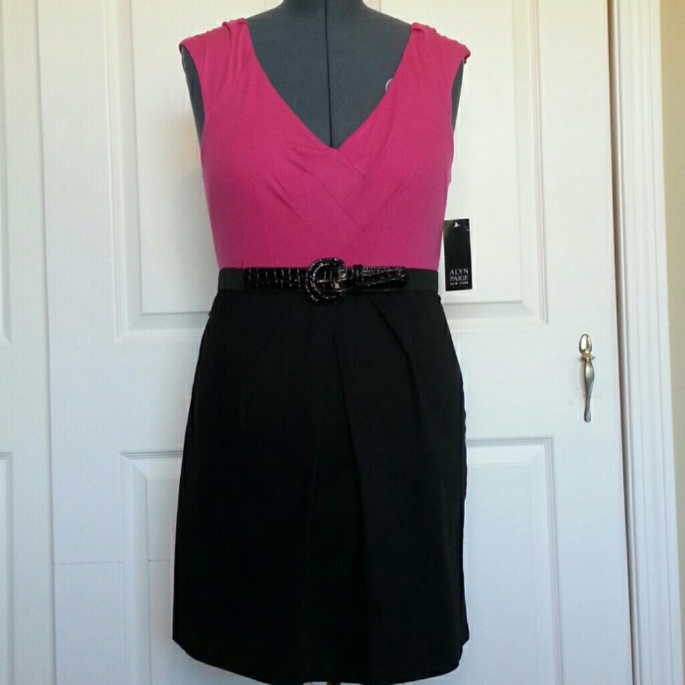 🌸Alyn Paige Dress
